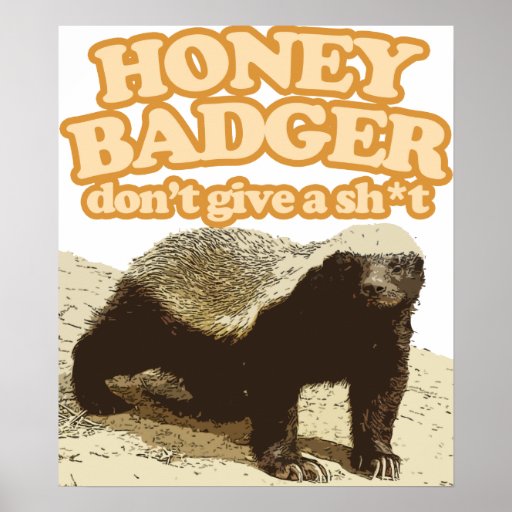 honey badger dont give a shit poster
