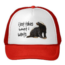 Honey Badger - I just takes what I wants