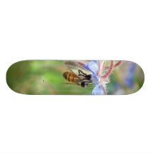 Honey Bee Skate Board