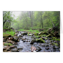 Honey Creek card