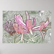 Honeysuckle canvas print