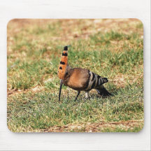 Hoopoe mouse pad