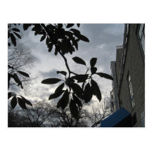 hope of a new day postcards