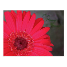 Hope Springs Eternal Postcard
