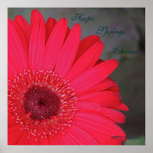 Hope Springs Eternal... Print