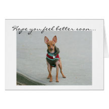 Hope you feel better soon chihuahua greeting card