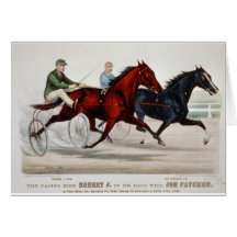 horce racing chariout cards