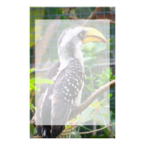 hornbill on perch in green plants stationery