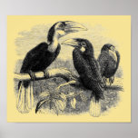 Hornbills Poster