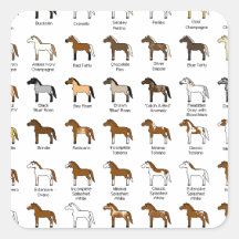 Horse Colours Sticker