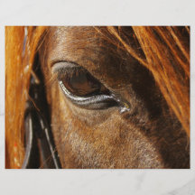 Horse eye personalized flyer