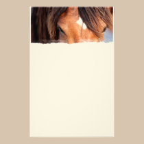 Horse Eyes stationery