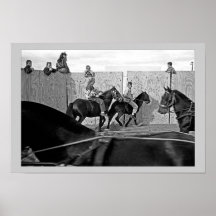 Horse Fair, County Galway, Ireland. Print