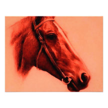 Horse Head Announcement