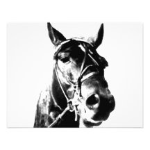 Horse Head Custom Invites