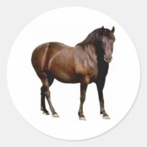 horse horse riding equistrian horse racing sticker
