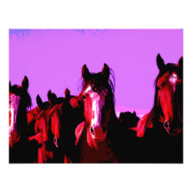 Horse - Horses Announcement