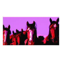 Horse - Horses Customized Photo Card