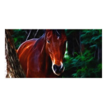 Horse in the forest personalized photo card