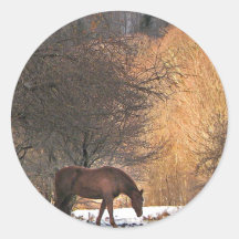 Horse in Winter Sticker