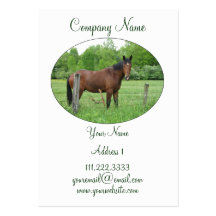 Horse Logo Business Card