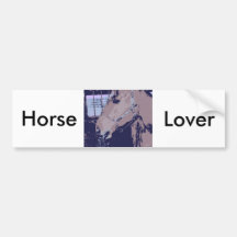 Horse Lover Pop Art Bumper Stickers