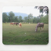 Horse mousepad