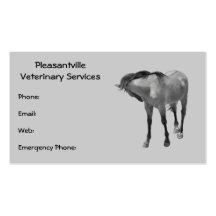 Horse: Original Pencil Art: Veterinary Services Business Card