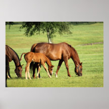 Horse Pastoral Art Poster