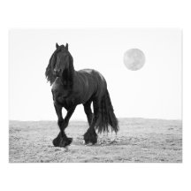 Horse perfect custom announcements