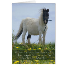 Horse Pet Sympathy Card - Equine Sympathy - Pit Po