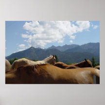 Horse poster