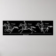 Horse Posters