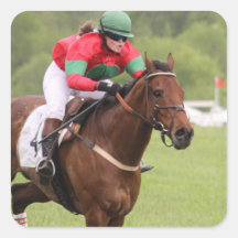 Horse Race Stickers