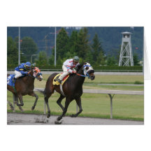 Horse racing cards
