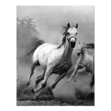 Horse Running Personalized Invite