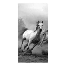 Horse Running Photo Greeting Card