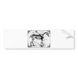 Horse Skeleton black and white bumper stickers
