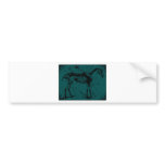 horse skeleton turquiose bumper stickers