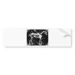 Horse skeleton white bumper stickers