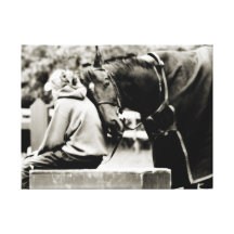 Horse Snuggles Stretched Canvas Prints