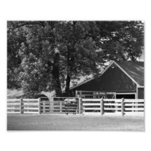 Horse Stable 10x8 Photographic Print