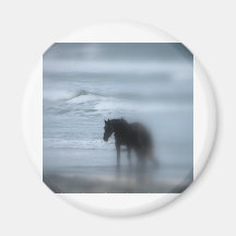 Horse walking the beach Newport Rhode Island Magnet