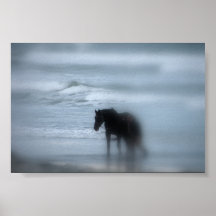 Horse walking the beach Newport RI Poster