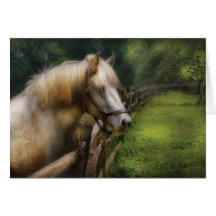 Horse - White Stallion Greeting Card