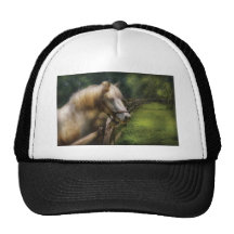 Horse - White Stallion Hats