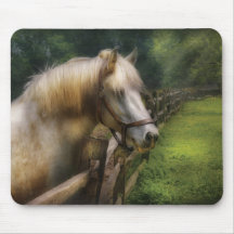 Horse - White Stallion Mouse Pads
