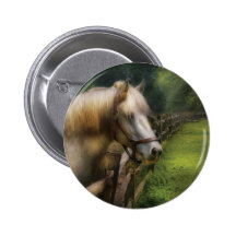 Horse - White Stallion Pinback Buttons