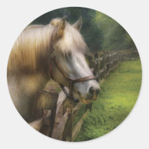 Horse - White Stallion Sticker