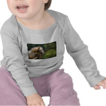 Horse - White Stallion T Shirt